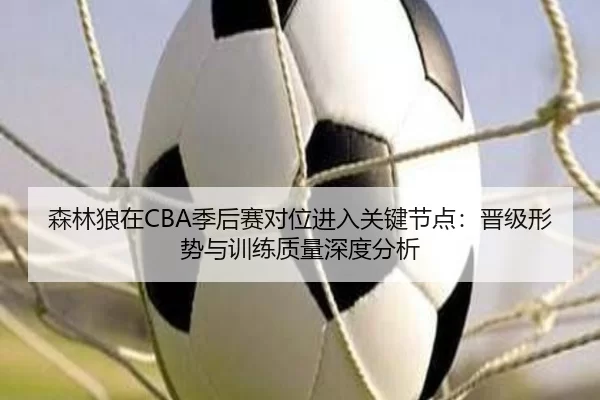 森林狼在CBA季后赛对位进入关键节点：晋级形势与训练质量深度分析